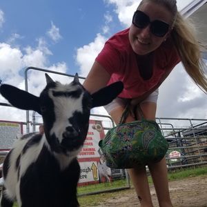 Meet your Posher, Meredith